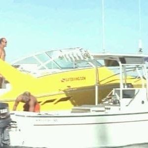 Photo Alerte à Malibu