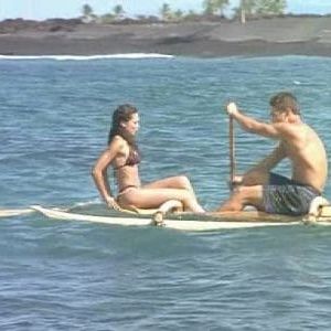 Photo Alerte à Malibu