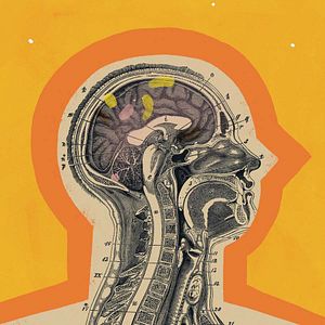 Photo Le guide Headspace de la méditation