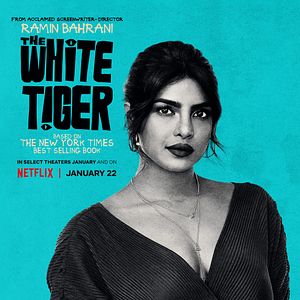 Photo Le Tigre blanc
