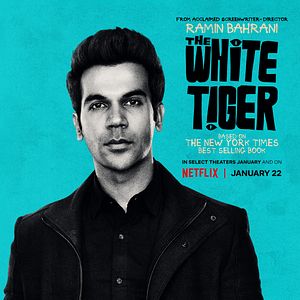 Photo Le Tigre blanc
