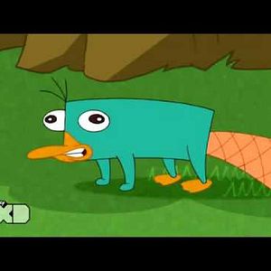 Photo Phineas et Ferb