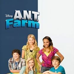 Photo Section Genius