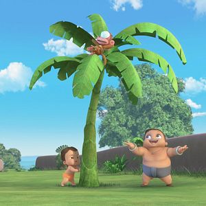 Photo Bheem Bam Boum