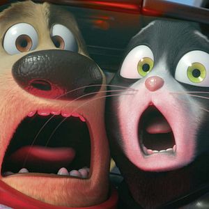Photo StarDog et TurboCat