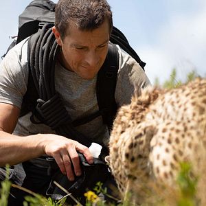 Photo Bear Grylls