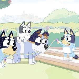 Photo Bluey