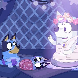 Photo Bluey