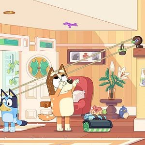 Photo Bluey