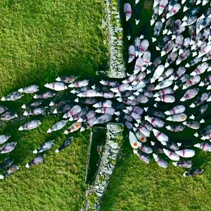 Photo L'Europe vue du ciel