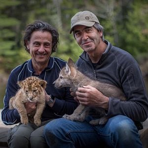 Photo Le Loup et le Lion