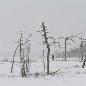 Photo Cibles mouvantes