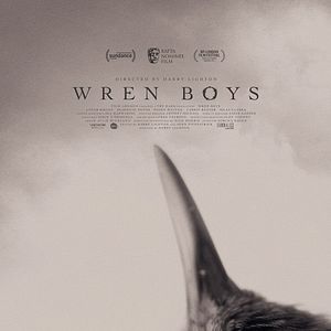 Photo Wren Boys