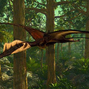 Photo Ptérodactyles 3D : Dans le ciel des dinosaures
