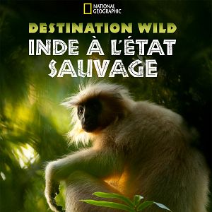 Photo Destination Wild : Inde à l'État Sauvage