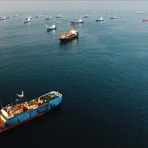 Photo Seaspiracy : La Pêche en Question