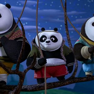 Photo Kung Fu Panda : Les Pattes du destin