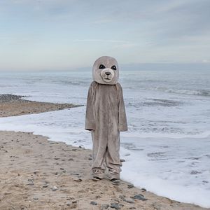 Photo From the Wild Sea