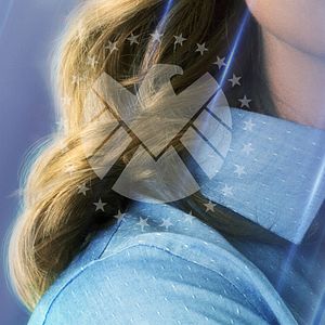 Photo Les Légendes des studios Marvel