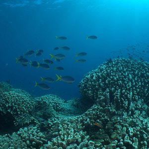 Photo National Geographic : Vues de la Terre