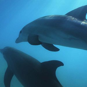 Photo National Geographic : Vues de la Terre