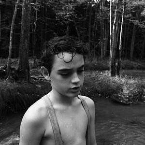 Photo Sous l'aile des anges