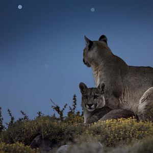 Photo Terre : les couleurs nocturnes