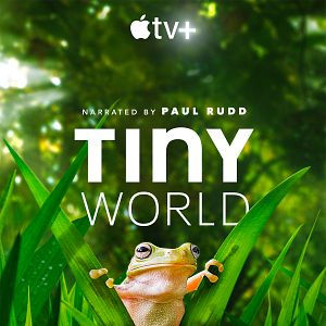 Photo Tiny World