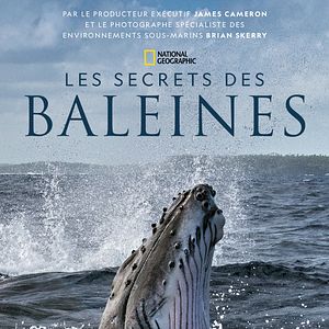 Photo Les Secrets des baleines