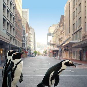 Photo L'Année où la terre a changé