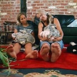 Photo Izzy et les koalas