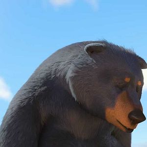 Photo Nico Nickel le camion poubelle