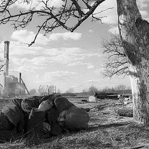 Photo The Painted Bird