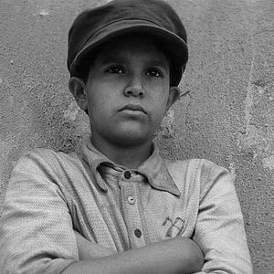 Photo The Painted Bird