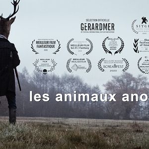 Photo Les Animaux anonymes