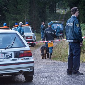 Photo The Hunt for a Killer