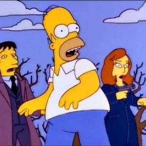 Photo Les Simpson
