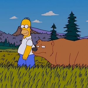 Photo Les Simpson