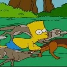 Photo Les Simpson