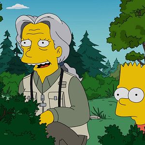 Photo Les Simpson