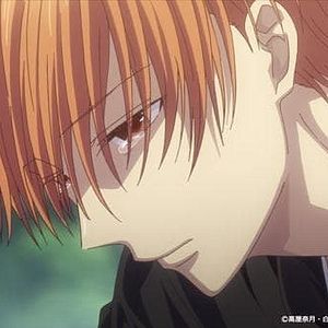 Photo Fruits Basket (2019)