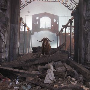 Photo Il était une fois Palilula