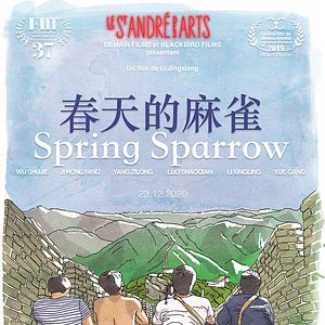 Photo Spring Sparrow