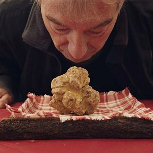 Photo Chasseurs de truffes