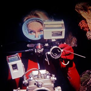 Photo Valerie Taylor