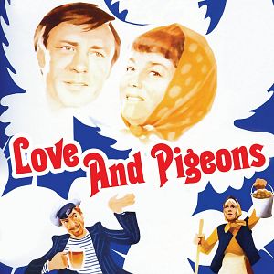 Photo Amour et pigeons