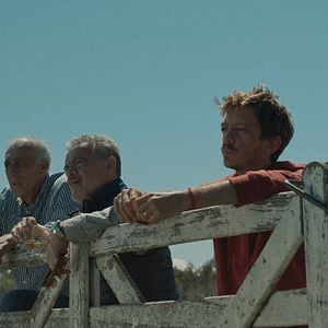 Photo Jean Pierre Noher