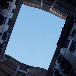 Photo Tous les corbeaux du monde