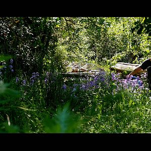 Photo Permaculture en France, un Art de vivre pour demain