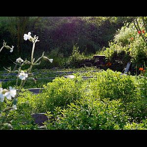 Photo Permaculture en France, un Art de vivre pour demain